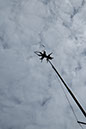 DSCF6310