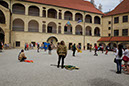 DSCF8649
